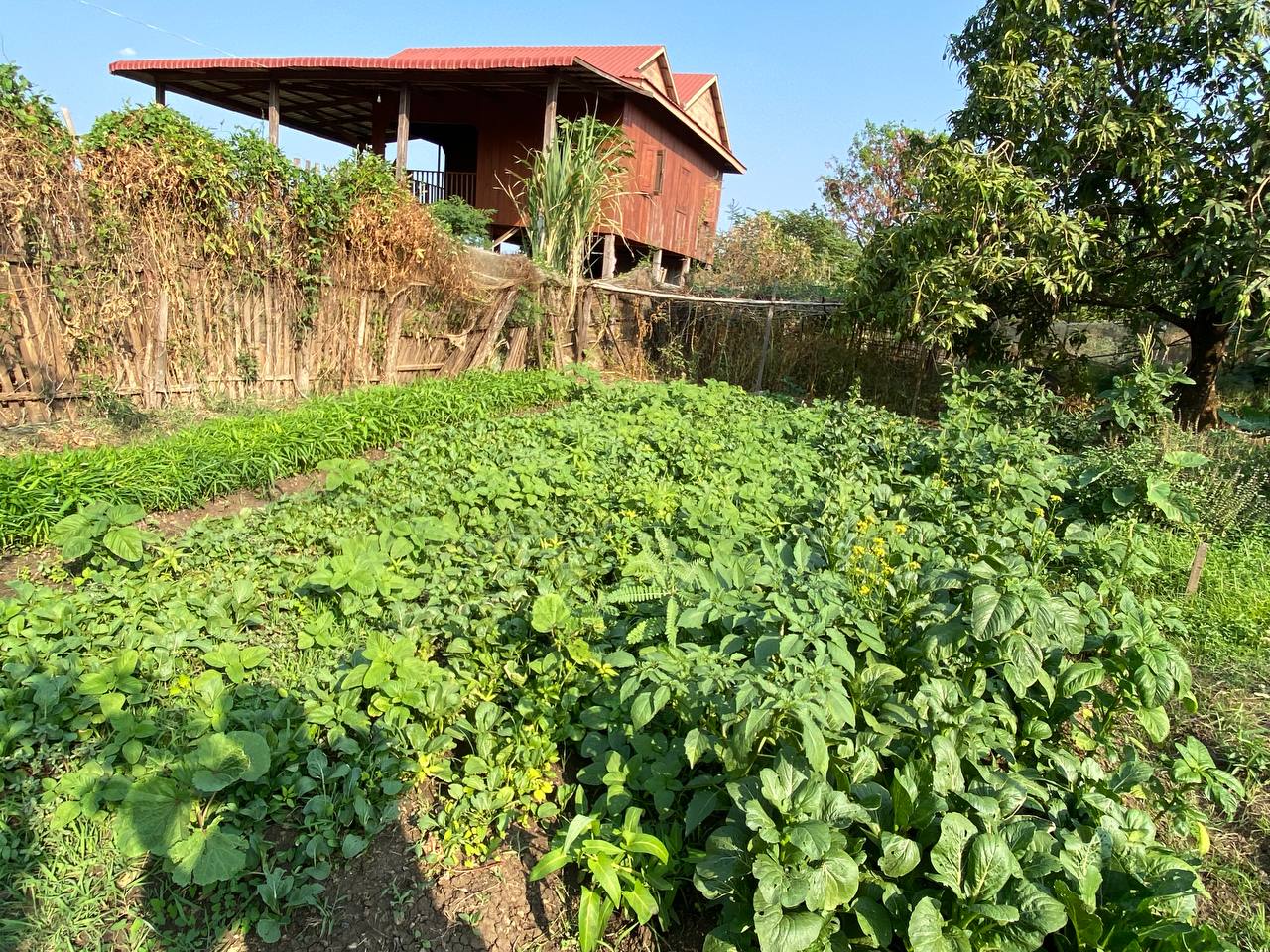 photo 2025 03 18 18 03 32