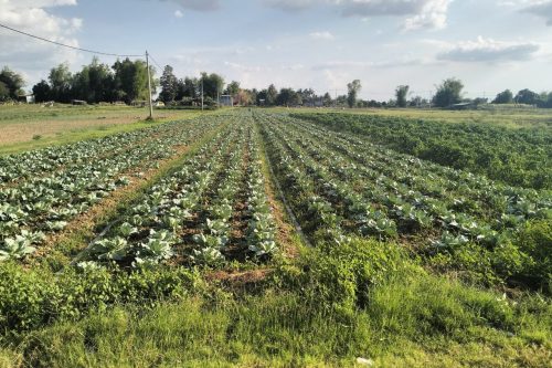 photo 2025 03 18 19 52 10