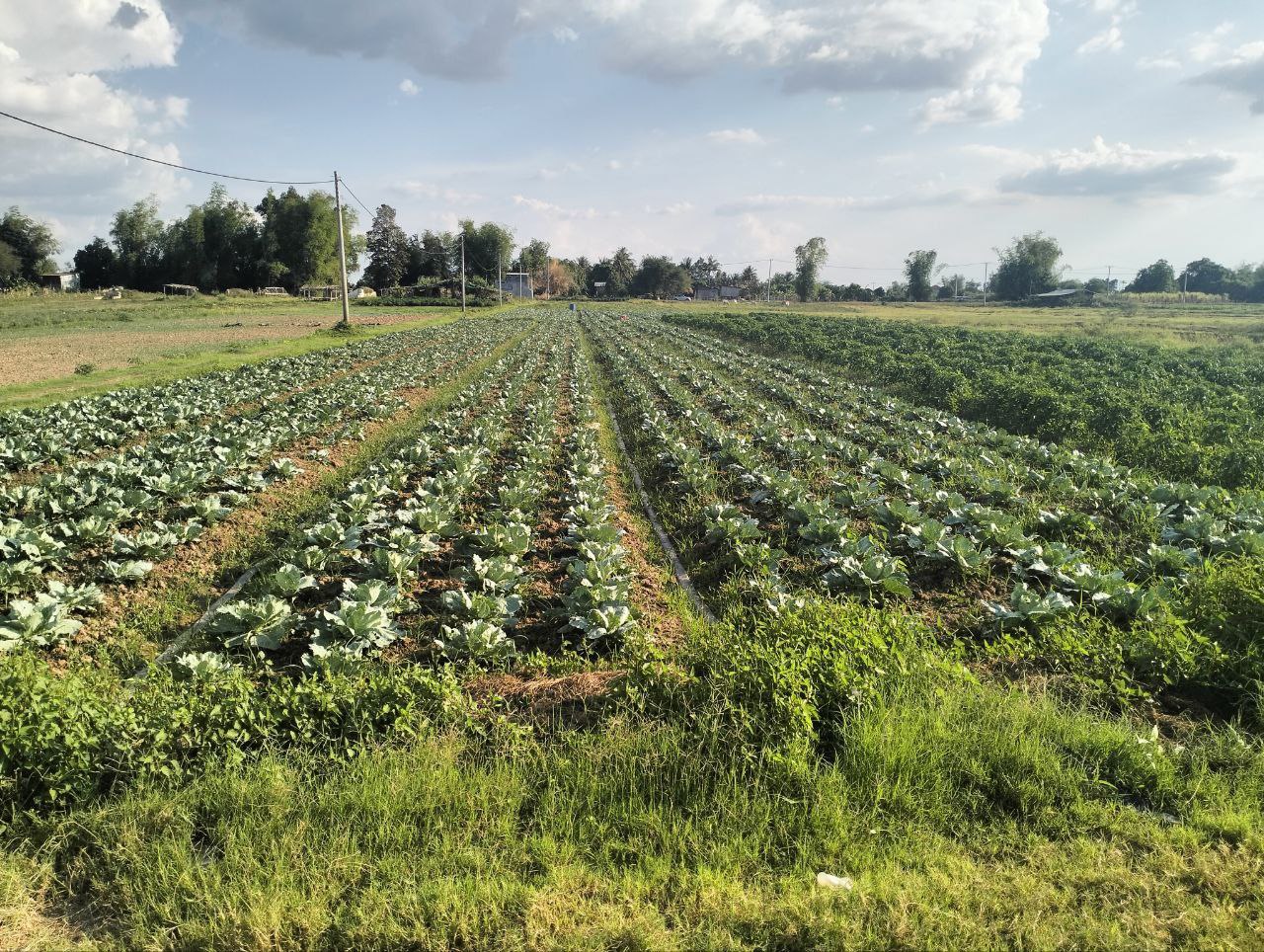 photo 2025 03 18 19 52 10