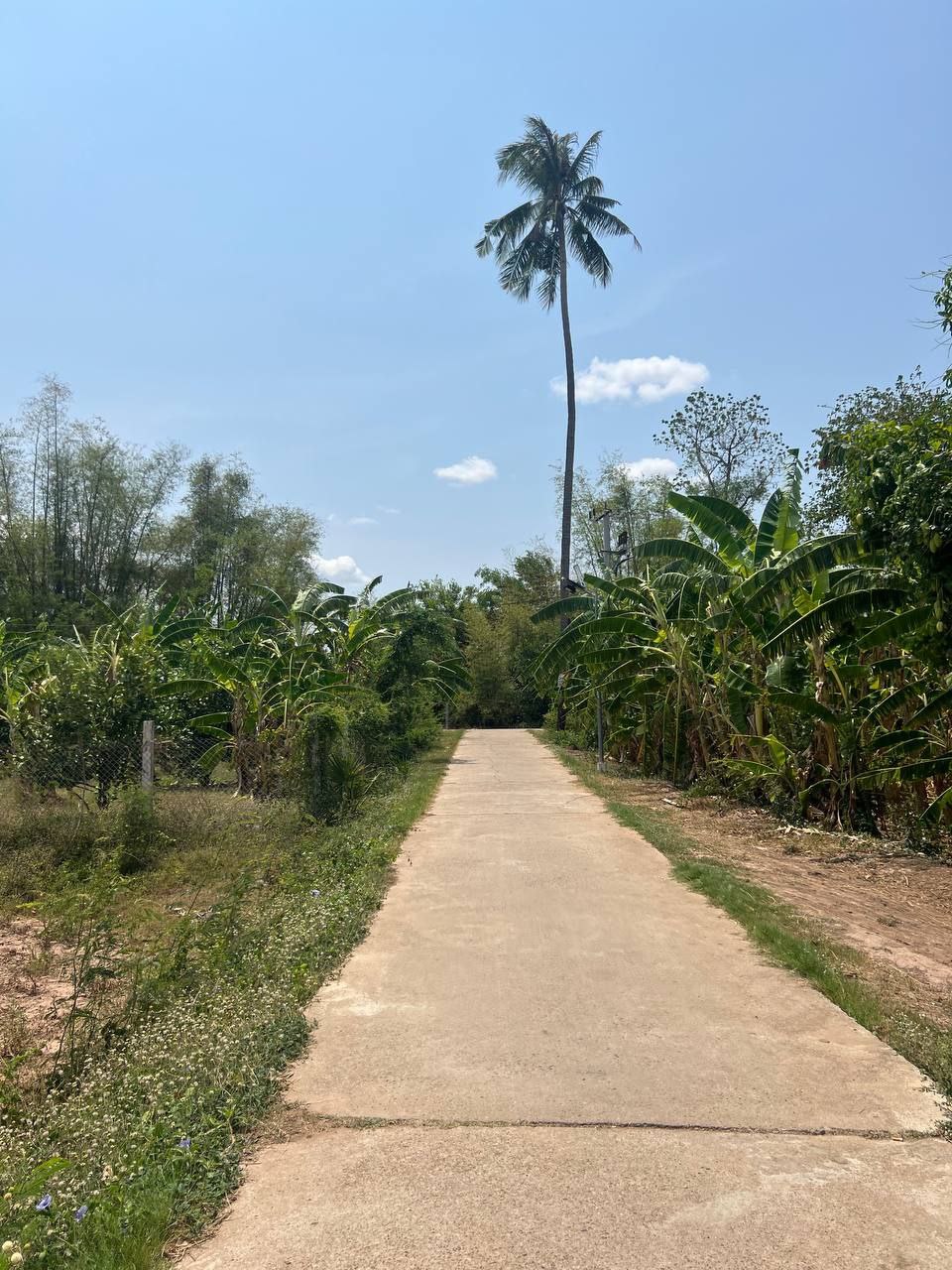 photo 2025 03 18 19 52 18