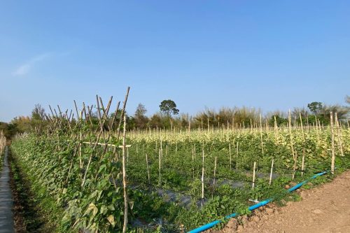 photo 2025 03 18 21 44 10