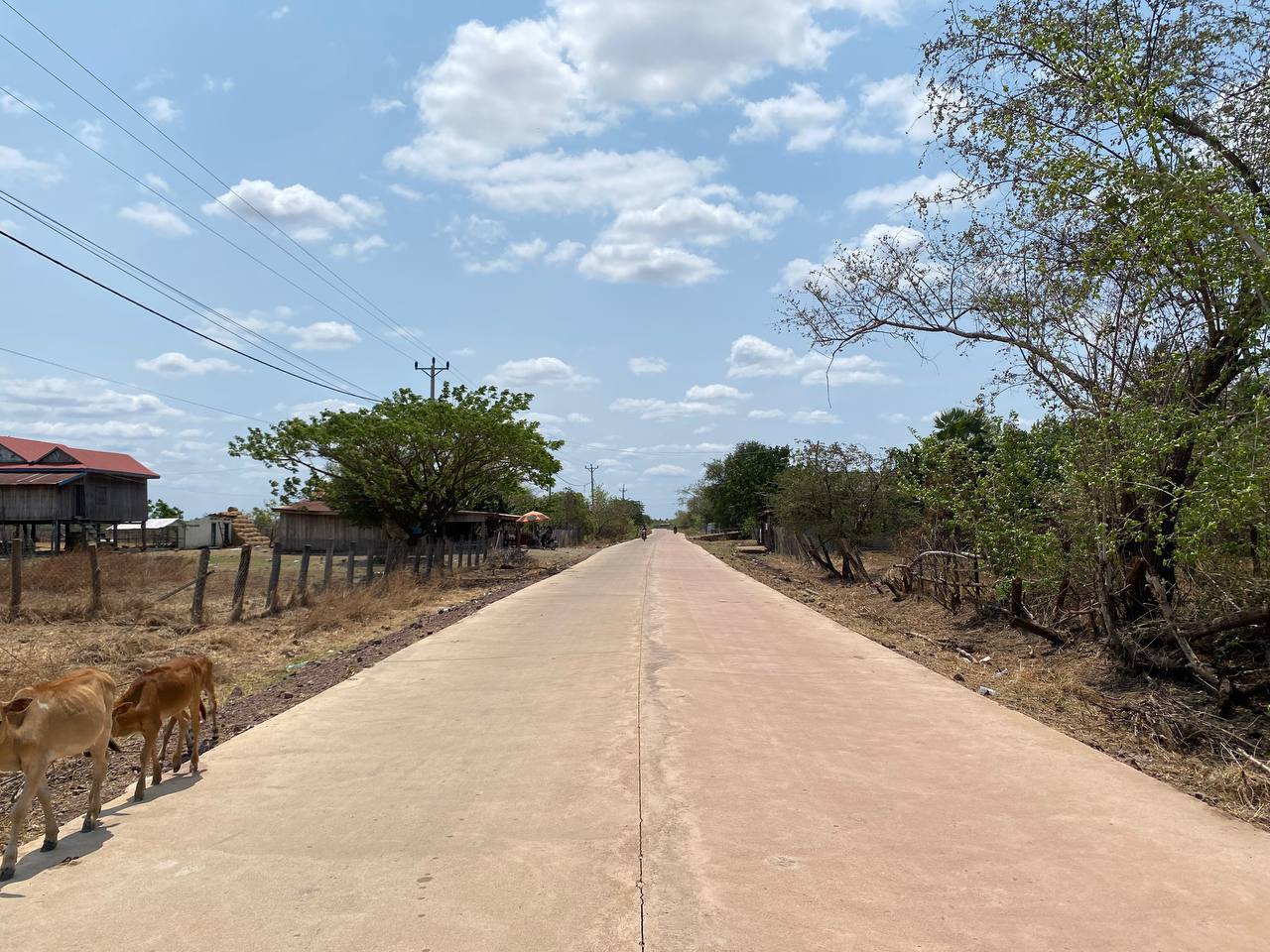 photo 2025 03 18 21 44 15