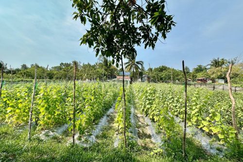 photo 2025 03 20 12 04 15