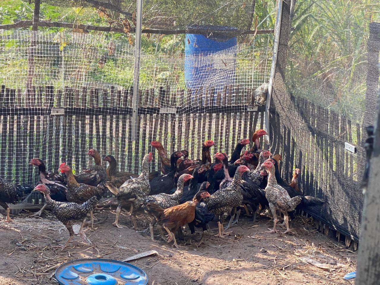 photo 2025 04 03 18 15 11