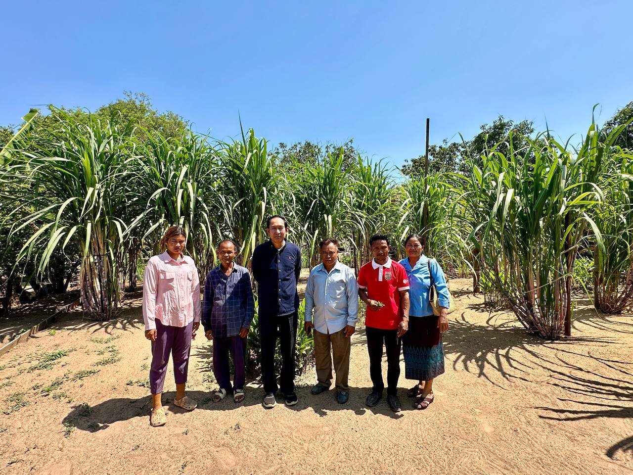 photo 2025 04 04 06 47 02