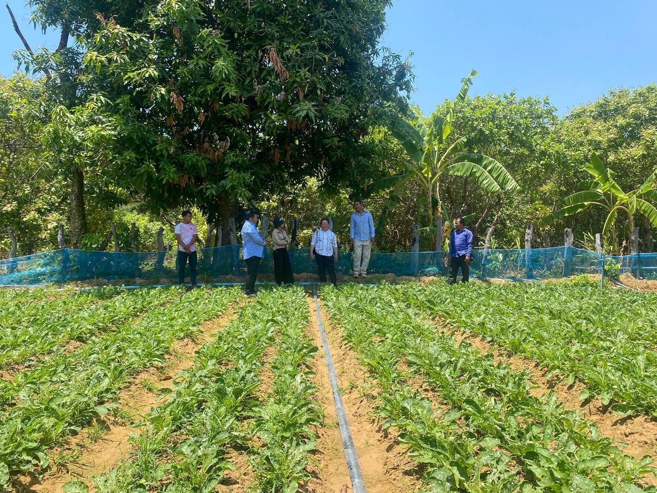 photo 2025 04 04 06 47 04