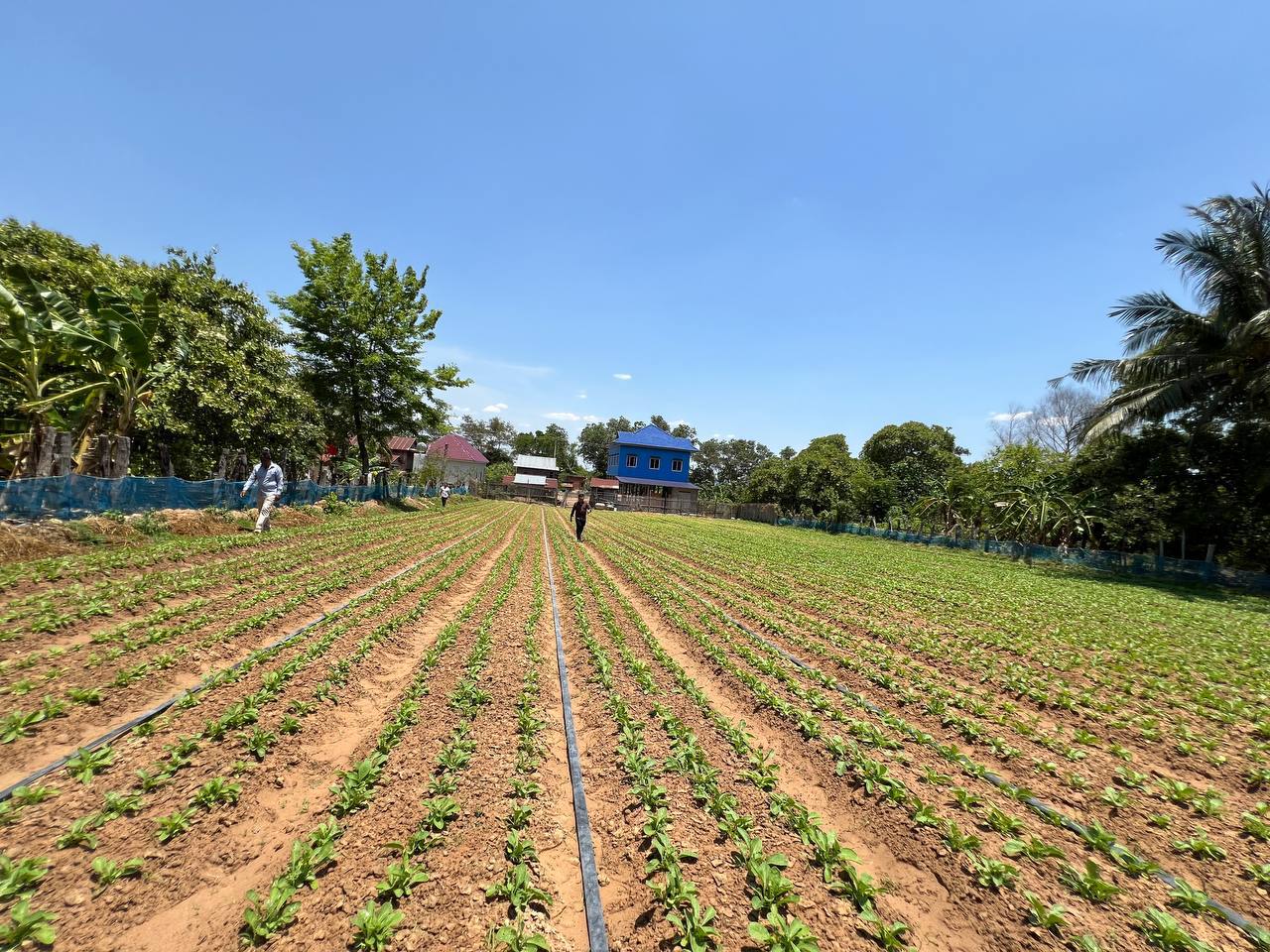 photo 2025 04 04 06 47 06