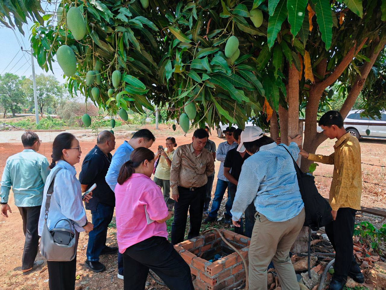 photo 2025 04 05 09 28 44