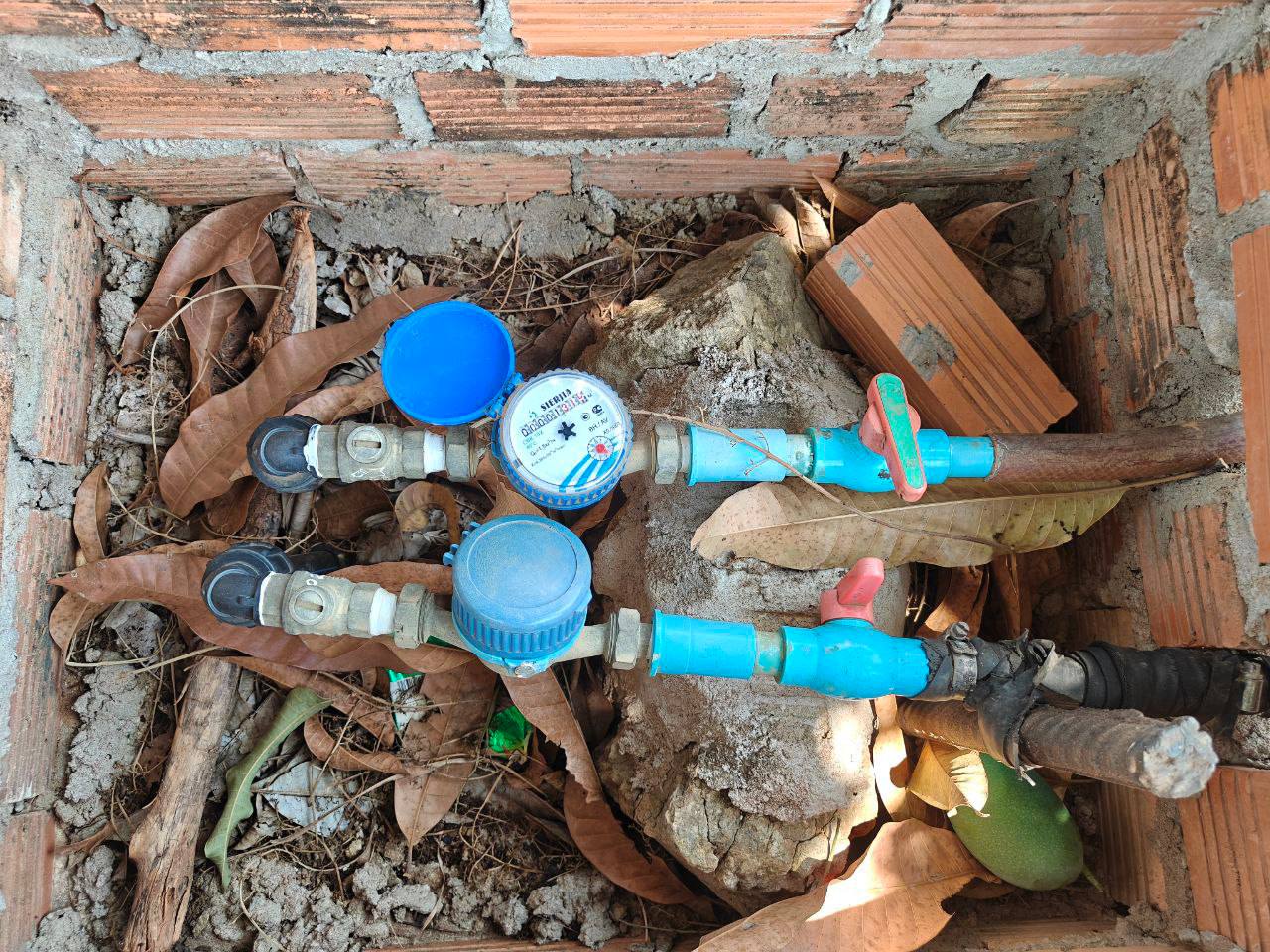 photo 2025 04 05 09 28 51