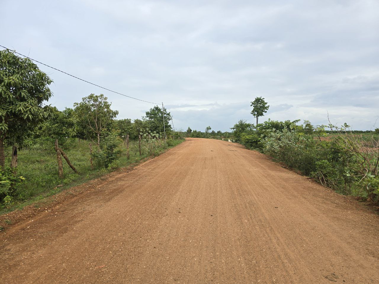 photo 2025 06 10 20 21 52