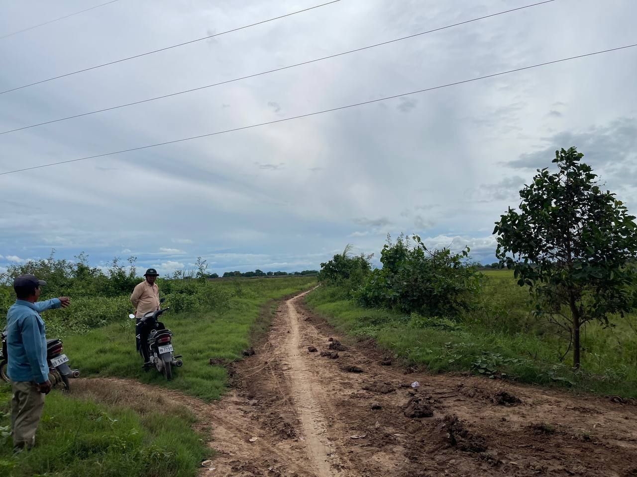 photo 2025 06 22 19 54 47 5