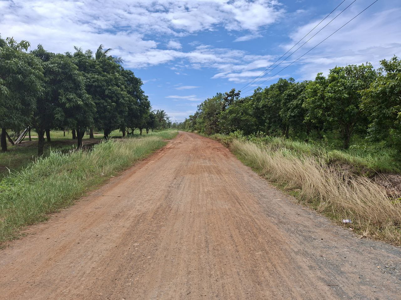 photo 2025 06 25 18 11 56