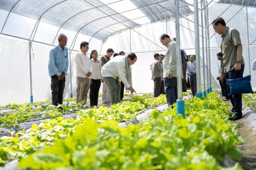 15.ានភាពនៃការអភិវឌ្ឍនៅក្នុងភូមិចំនួន ៣