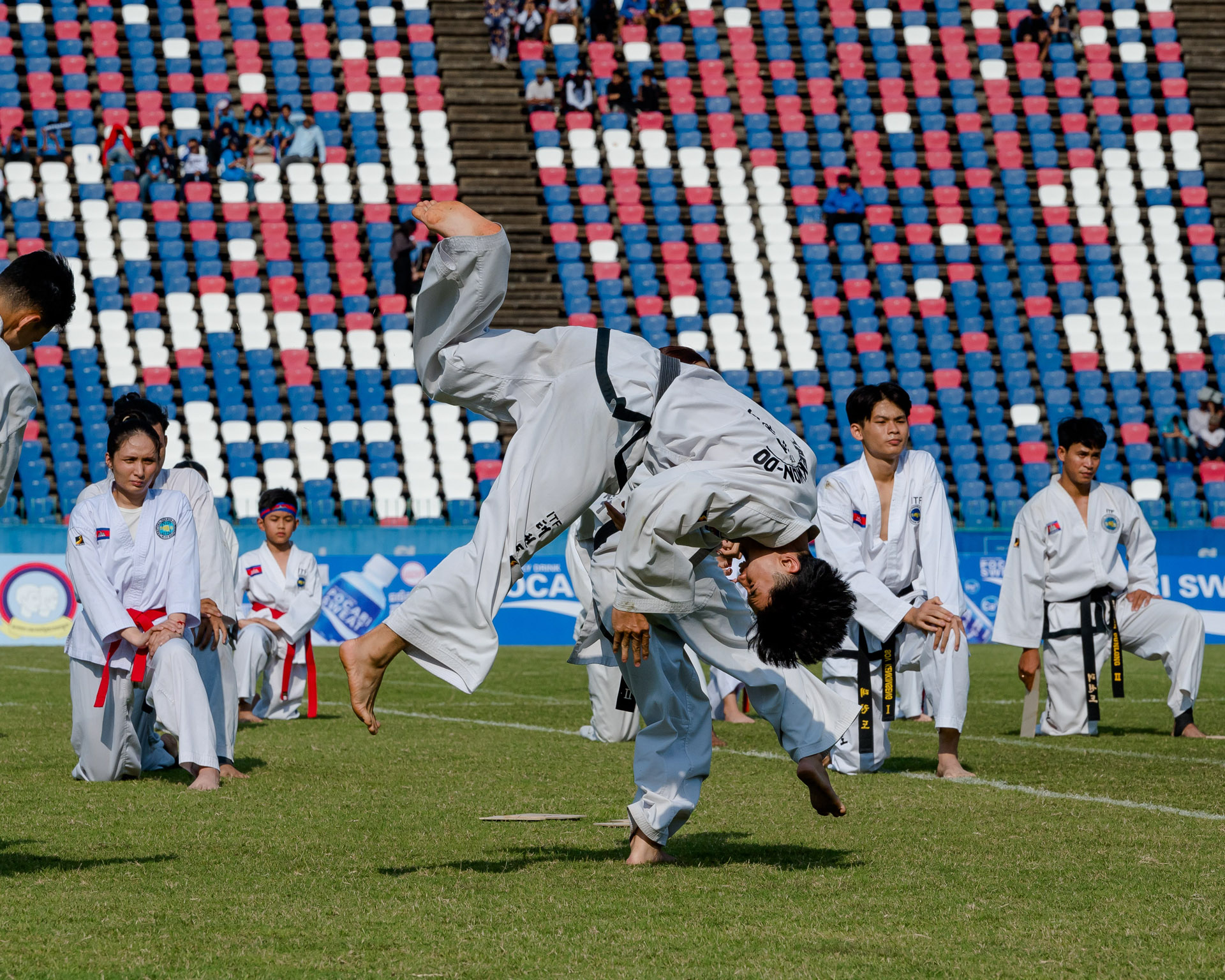 5DSC 8411