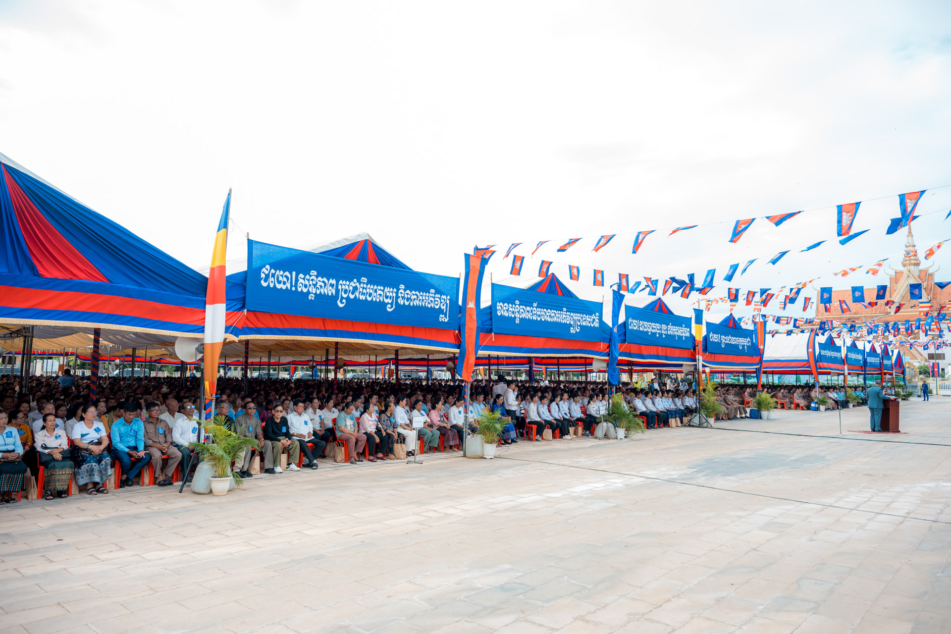 28DSC 6566