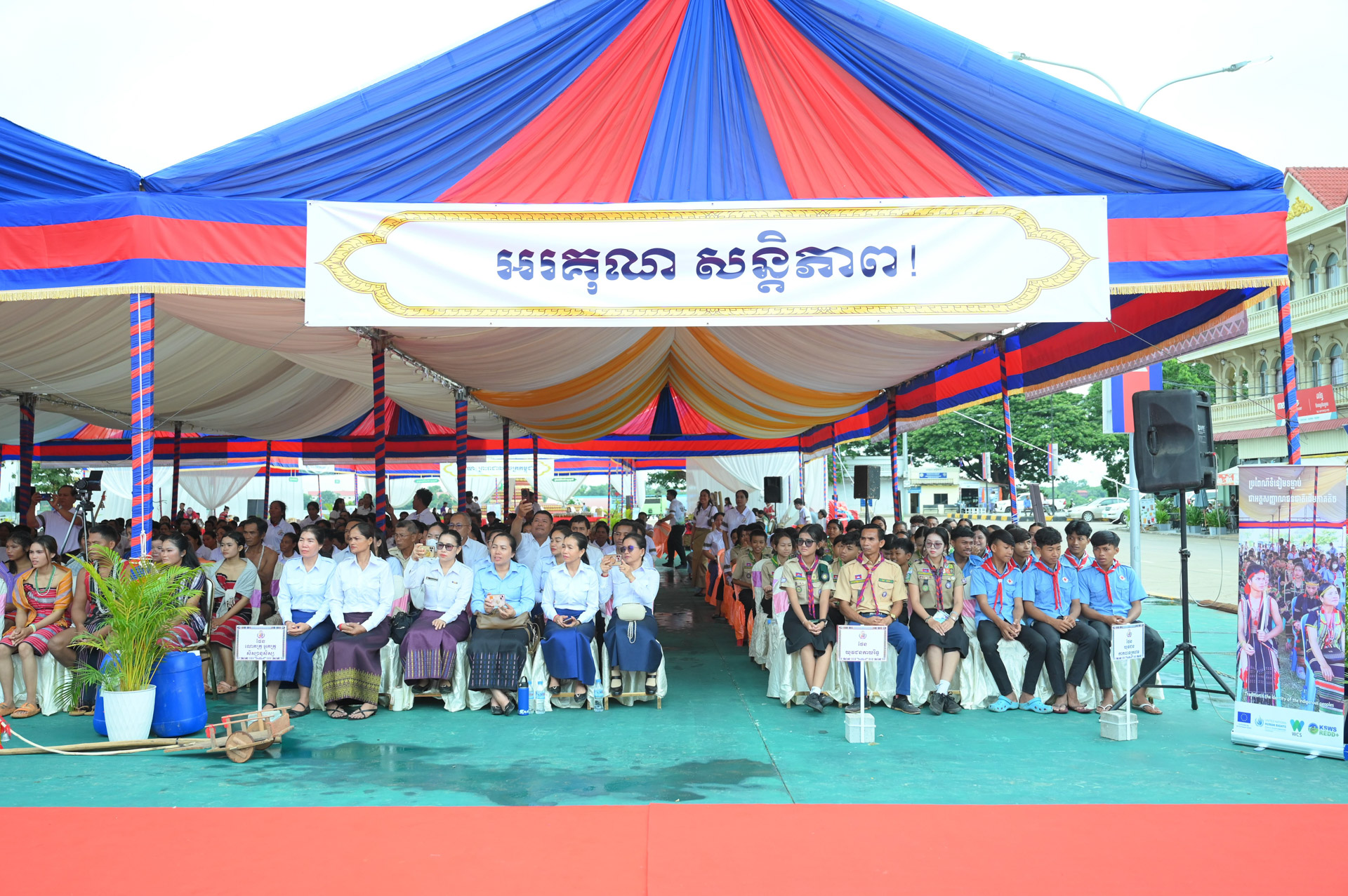 60DSC 5426