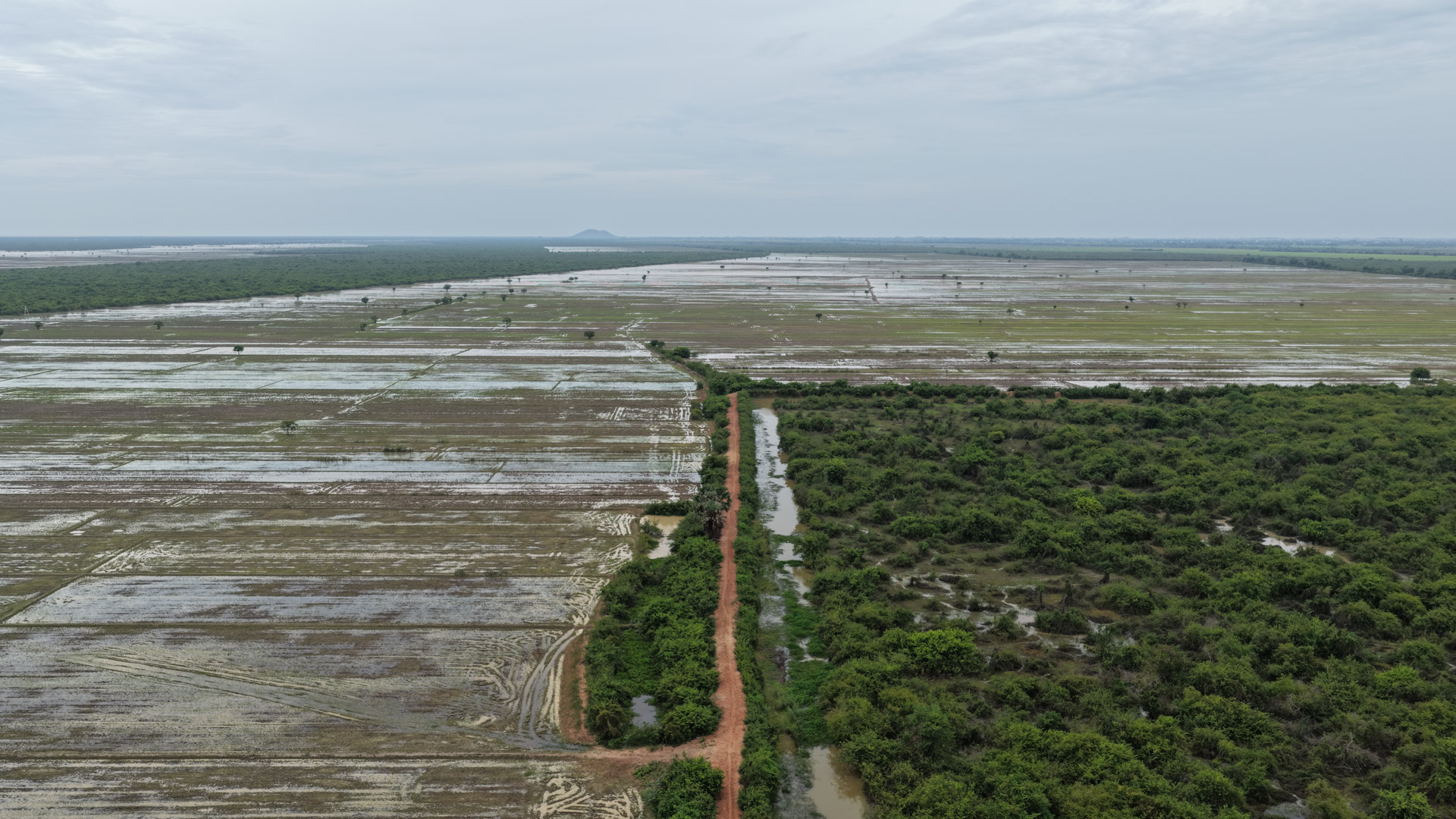 ឯកឧត្តម ឆាយ ឫទ្ធិសែន ដឹកនាំមន្ដ្រីបច្ចេកទេសអញ្ជើញចុះពិនិត្យជាក់ស្ដែងស្ថានភាពផ្លូវចំនួន ១ខ្សែ និងពិនិត្យតម្រាយខ្សែផ្លូវ ចំនួន ២ខ្សែ ស្ថិតនៅក្នុងខេត្តសៀមរាប 35 DJI 20260819102920 0177 D