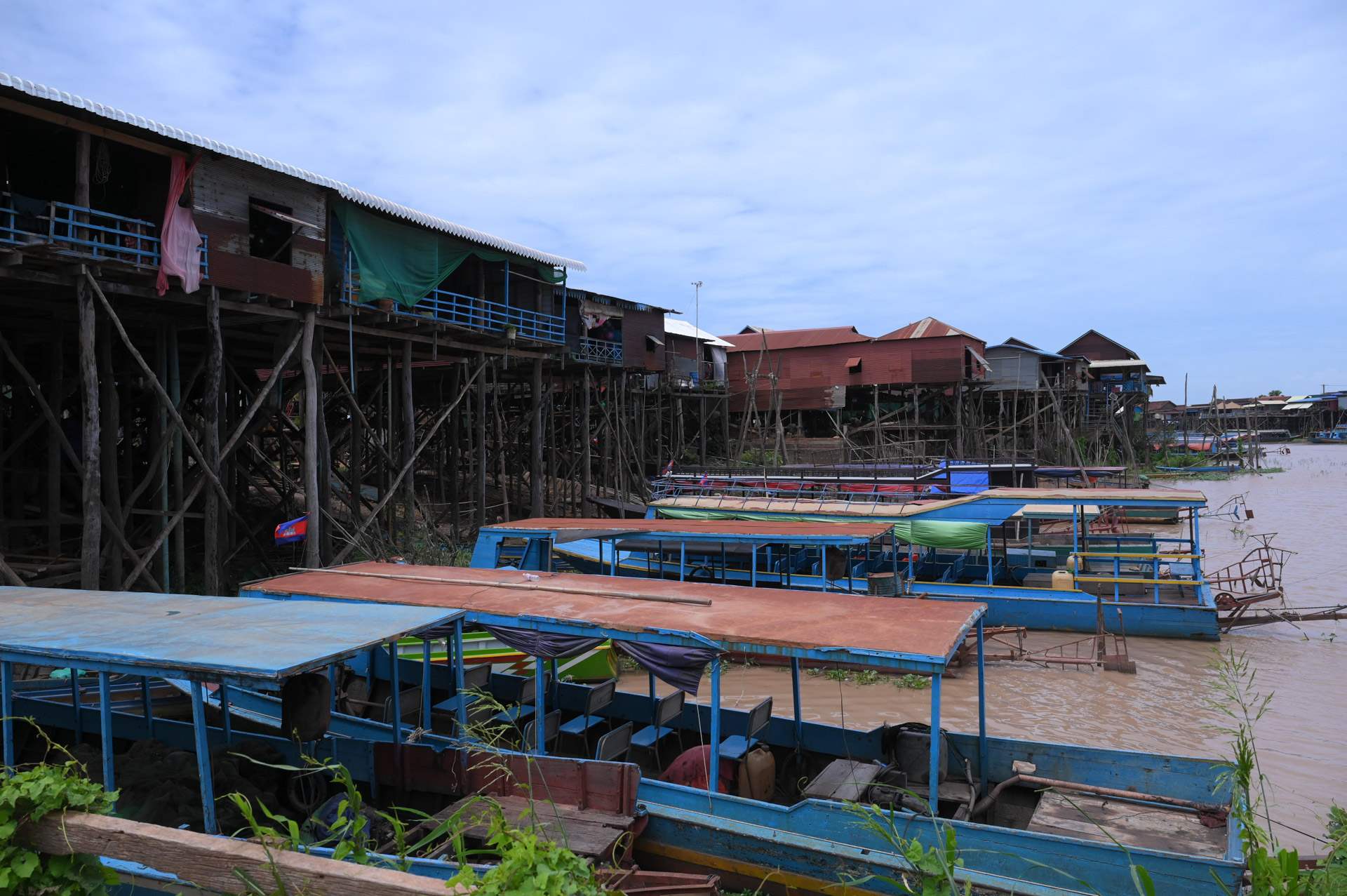 DSC 7918