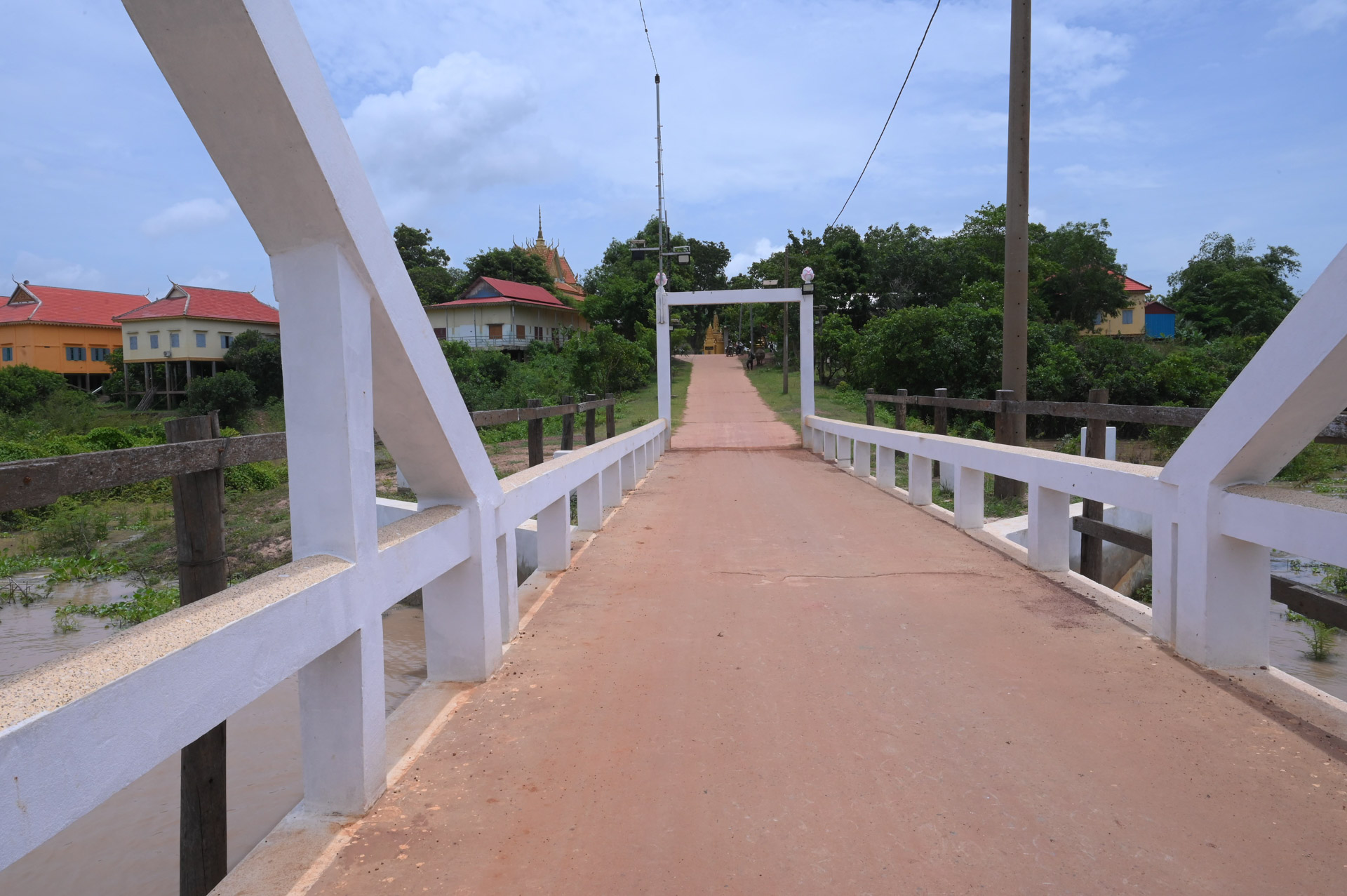 DSC 7994