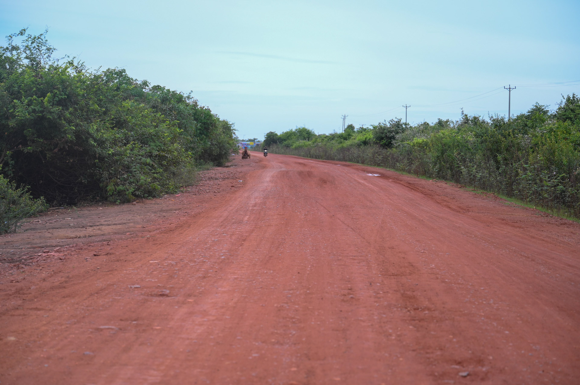 DSC 8414