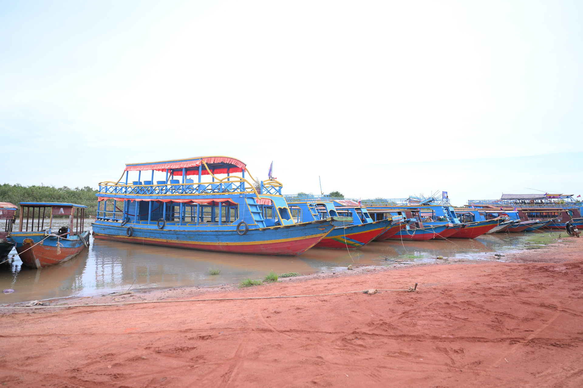 DSC 8429