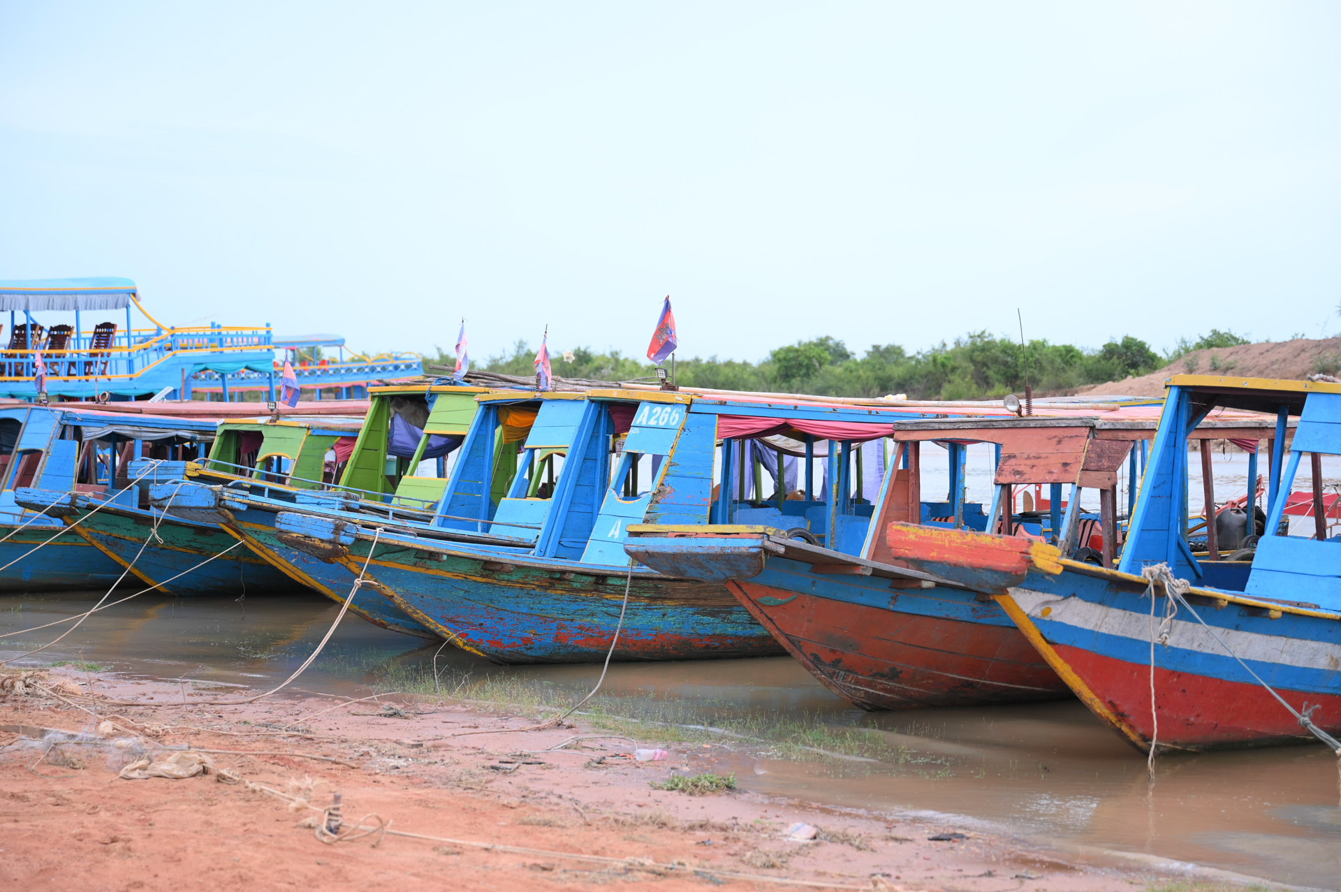 DSC 8436