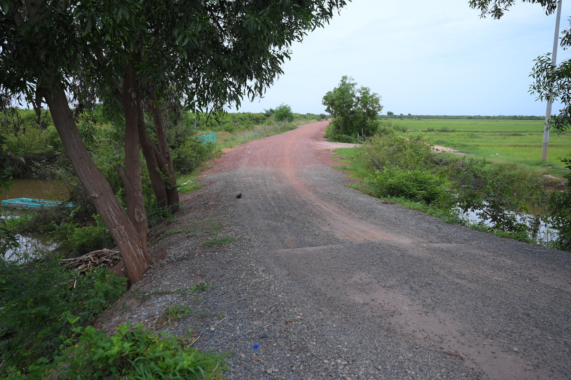 DSC 8814