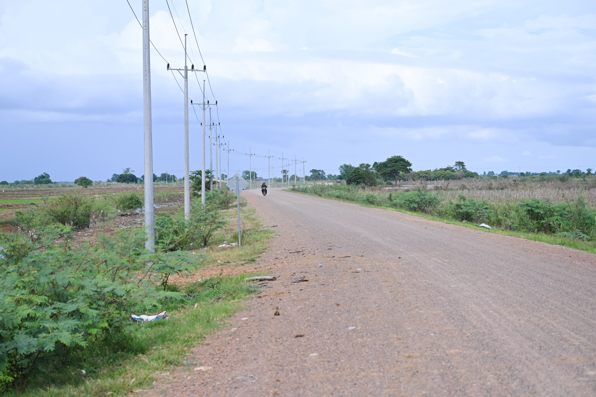 DSC 4252